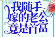 完结版《我随手嫁的老公竟是首富？》章节目录在线阅读-艾米文学