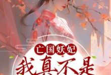 男女主人公叫桑宁贺兰殷的小说免费资源-艾米文学