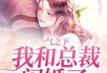 免费看一气之下,我和总裁闪婚了小说的网站有哪些?-艾米文学