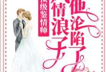 顶级鉴情师：风情浪子他沦陷了小说的所有章节都能在哪里免费读到？-艾米文学