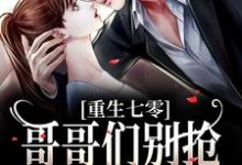《重生七零：哥哥们别抢，排队被抱抱》小说章节列表免费试读，林团团林景琢小说在线阅读-艾米文学