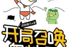 在线搜索王英俊的完整小说，免费阅读开局召唤奥特曼-艾米文学