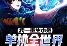 《我一重生小兔，单挑全世界很合理吧》小说章节列表免费试读，黄天小说在线阅读-艾米文学