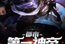 已完结小说《都市第一神帝》在线章节阅读-艾米文学