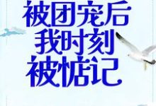 《偷听心声:被团宠后我时刻被惦记》小说大结局免费试读 夏眠霍今郴小说-艾米文学