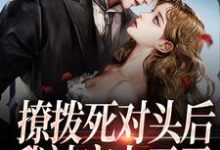 撩拨死对头后,我被宠上天了这本小说在哪里可以看?哪里有免费试读章节?-艾米文学