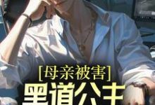 母亲被害，黑道公主扶我登高位小说，母亲被害，黑道公主扶我登高位刘斌张璐-艾米文学