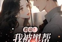 主角叫白诗如陆一璟的小说在哪阅读-艾米文学