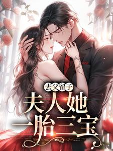 去父留子，夫人她一胎三宝夏凉意顾延霆，去父留子，夫人她一胎三宝小说免费阅读
