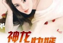 神龙快婿免费阅读，神龙快婿章节目录-艾米文学