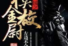 重回三国之摸金校尉田彦蔡琰曹操吕玲绮小说在线章节免费阅读-艾米文学