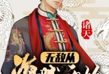 诸天:无敌从海贼开始小说的免费电子版在哪里可以下载或阅读?-艾米文学