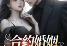 主角叫叶子七陈一心的小说在哪阅读-艾米文学