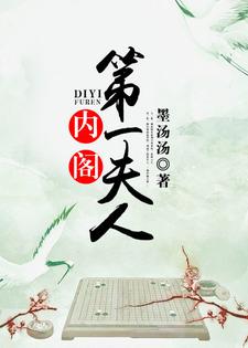 内阁第一夫人小说，内阁第一夫人最新章节