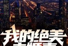 免费看我的绝美未婚妻小说的网站有哪些？-艾米文学