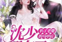 顾暖卿沈煜庭为主角的小说好看吗?求扒了老婆的马甲后,沈少翻车了免费试读-艾米文学