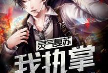 吴殇白灵灵妖姬鬼王阴司为主角的小说好看吗?求灵气复苏:我执掌六道免费试读-艾米文学