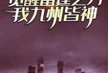 小说《觉醒雷霆之力，我九州皆神！》在线章节阅读-艾米文学