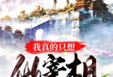 完结版《我真的只想做宰相》章节阅读-艾米文学