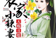 天赐丑媳:农家小辣妻小说完结了吗?在哪里可以免费读到?-艾米文学