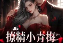 撩精小青梅：竹马队长超宠小说全文阅读需要付费吗？寻找免费资源-艾米文学