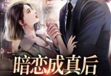 暗恋成真后，我被男神爆宠（许锦云舒衍）在线免费阅读-艾米文学