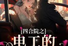 完结版《四合院之电工的幸福日子》章节阅读-艾米文学