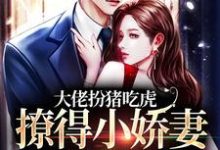 在线寻找大佬扮猪吃虎，撩得小娇妻面红耳赤小说的无删减版本-艾米文学