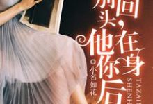 小说《别回头，他在你身后》章节阅读-艾米文学