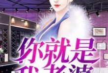 你就是我老婆免费阅读，你就是我老婆章节目录-艾米文学