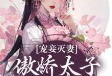 已完结小说《宠妾灭妻:傲娇太子放肆宠》最新章节-艾米文学