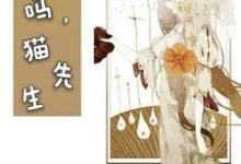 可以吗，猫先生小说，可以吗，猫先生陆泽羽沈惜怜-艾米文学