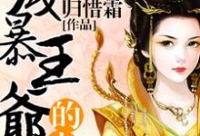 《残暴王爷的小妾》全集免费在线阅读(许潋滟韩修德)-艾米文学