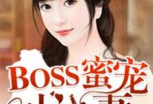 已完结小说《BOSS蜜宠小小妻》章节在线阅读-艾米文学