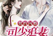 契约闪婚：司少追妻火葬场小说的免费阅读版本在哪里可以找到？-艾米文学