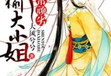 《妃常顽劣:神偷大小姐》小说大结局免费试读 郁丹青孤光启阮芷段沉渊小说-艾米文学