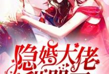 隐婚大佬甜哭了小说完结版章节免费阅读-艾米文学