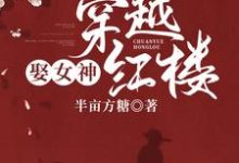 穿越红楼娶女神沈睿泽林黛玉小说在线章节目录阅读最新章节-艾米文学