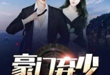 小说《豪门弃少》章节阅读-艾米文学