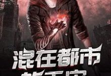 完结版《混在都市的天灾》章节阅读-艾米文学
