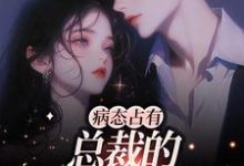 病态占有：总裁的私有宝贝云渺陆聿骁小说大结局免费试读-艾米文学