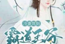柳蕙若梁晗昱的小说在哪里看？免费在线阅读冷妻驾到，霸道王爷奈我何-艾米文学