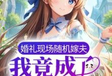 宁蘅傅瑾州的小说在哪里看?免费在线阅读婚礼现场随机嫁夫,我竟成了总统夫人?-艾米文学