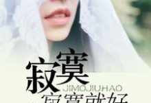 主角何晓初杜明凯小说寂寞寂寞就好免费阅读-艾米文学