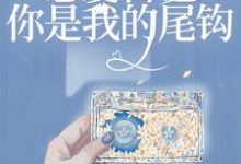 恋爱日记：你是我的尾钩这本小说在哪里可以看？哪里有免费试读章节？-艾米文学