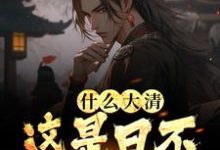 已完结小说《什么大清，这是日不落大明》在线章节阅读-艾米文学