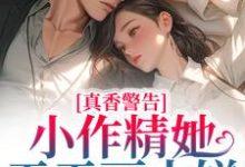 小说《真香警告！小作精她天天画大饼》章节阅读-艾米文学