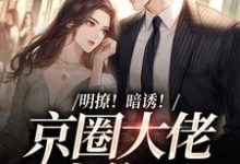 明撩！暗诱！京圈大佬上位了小说的所有章节都能在哪里免费读到？-艾米文学