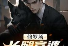 已完结小说《修罗场：长腿富婆为我折了腰》在线章节阅读-艾米文学