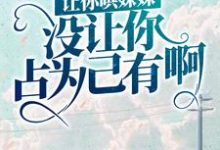 小说《让你哄妹妹，没让你占为己有啊！》章节免费阅读-艾米文学